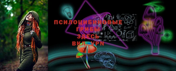ECSTASY Алексин